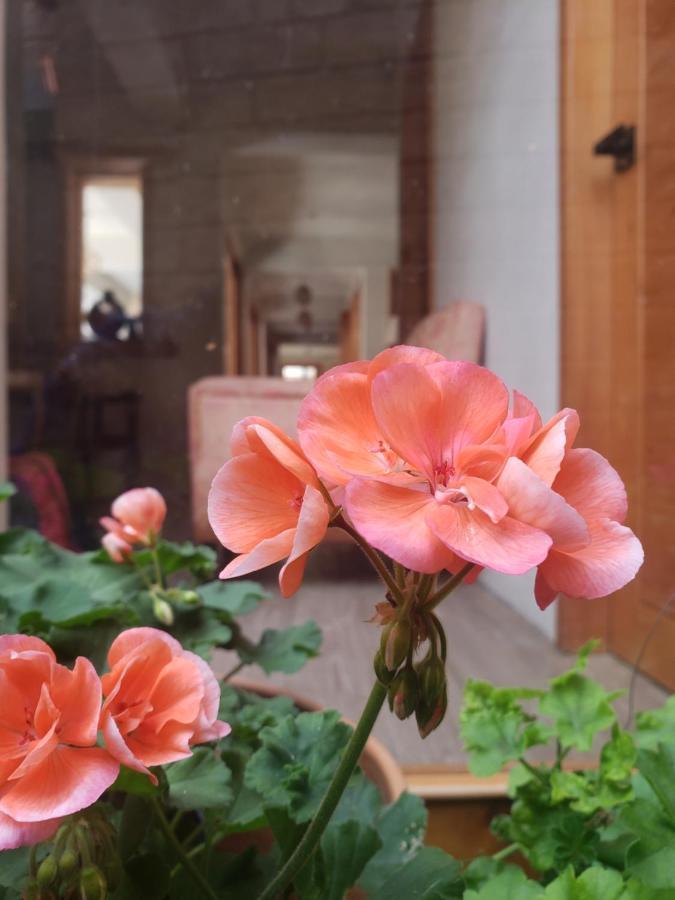 Отель Casa Carmen Сан-Кристобаль-де-Ла-Касас Экстерьер фото